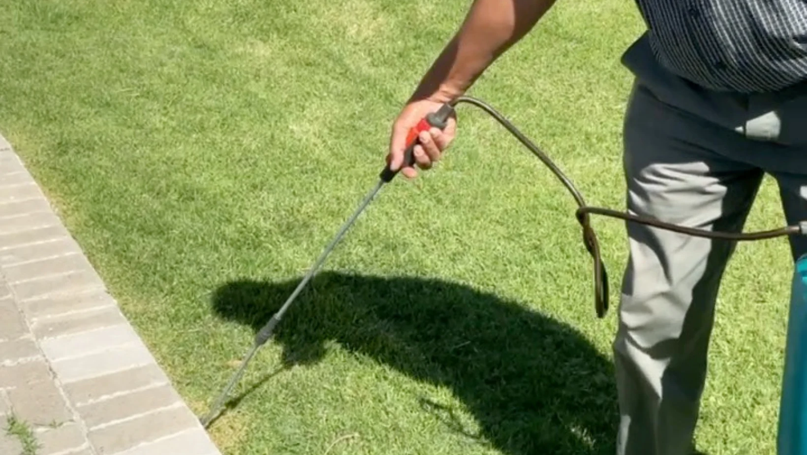 Pest-control treatment being applied to a lawn