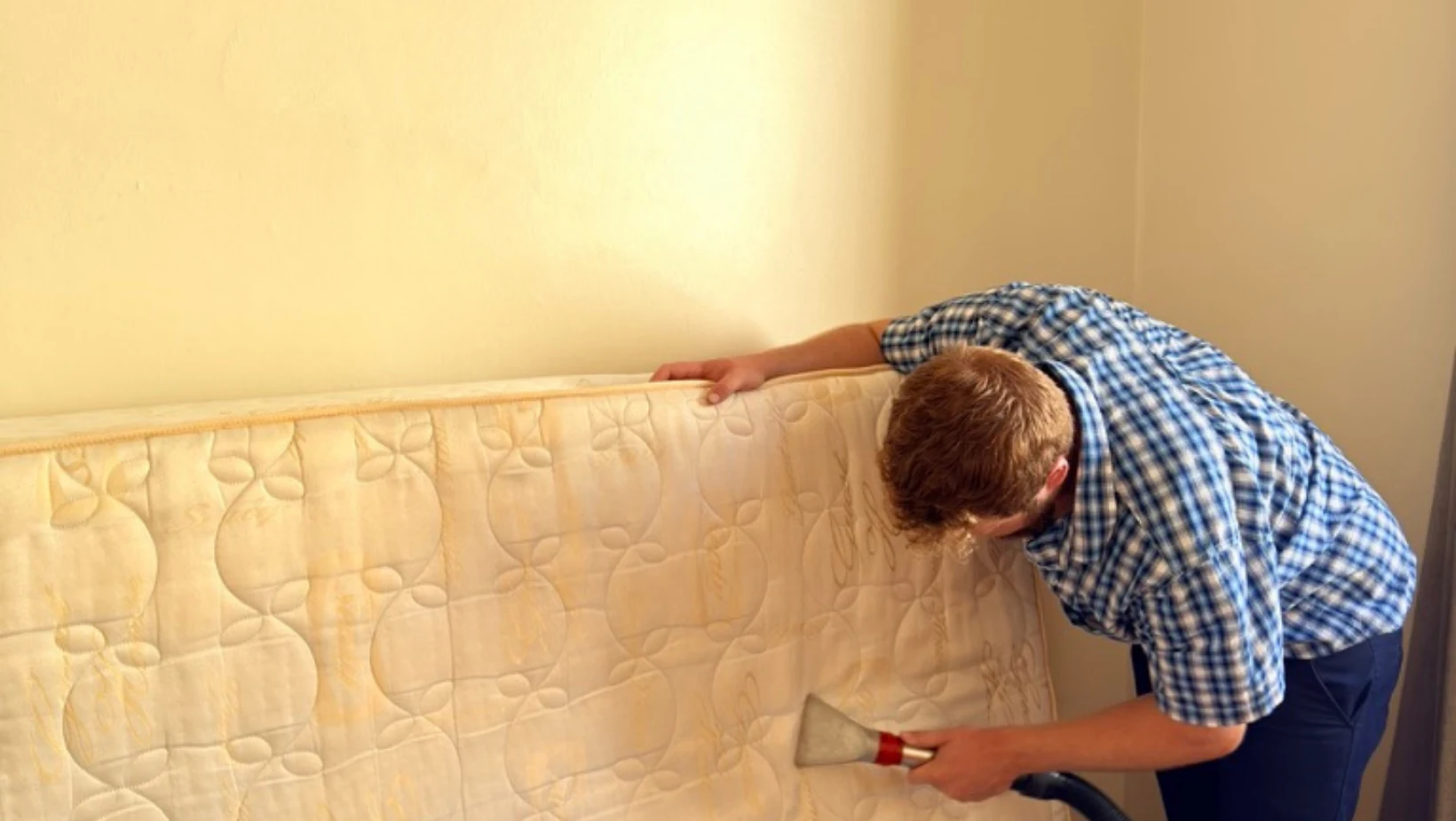 Person cleaning the surface of a mattress
