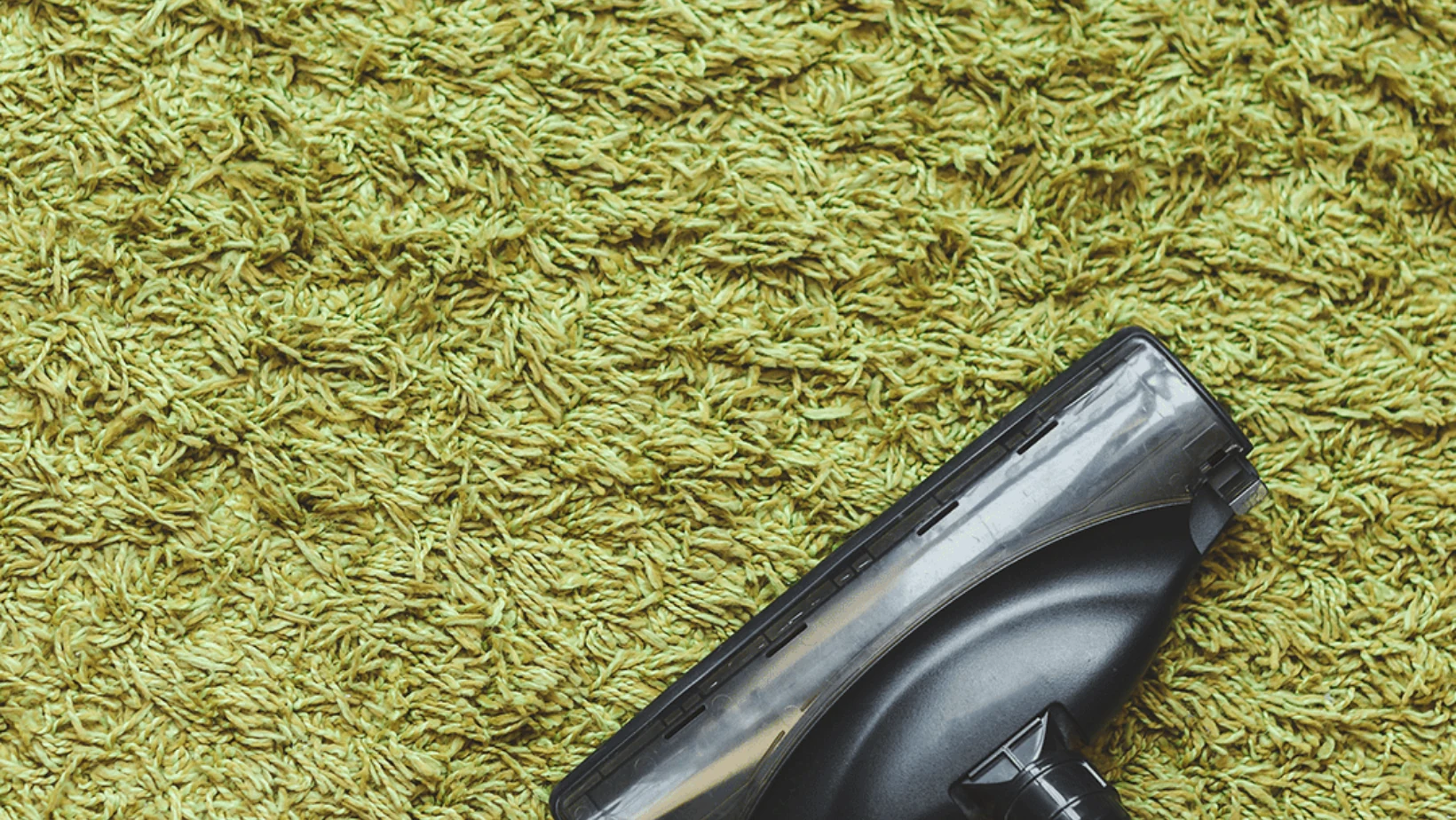 Vacuum nozzle cleaning a green carpet