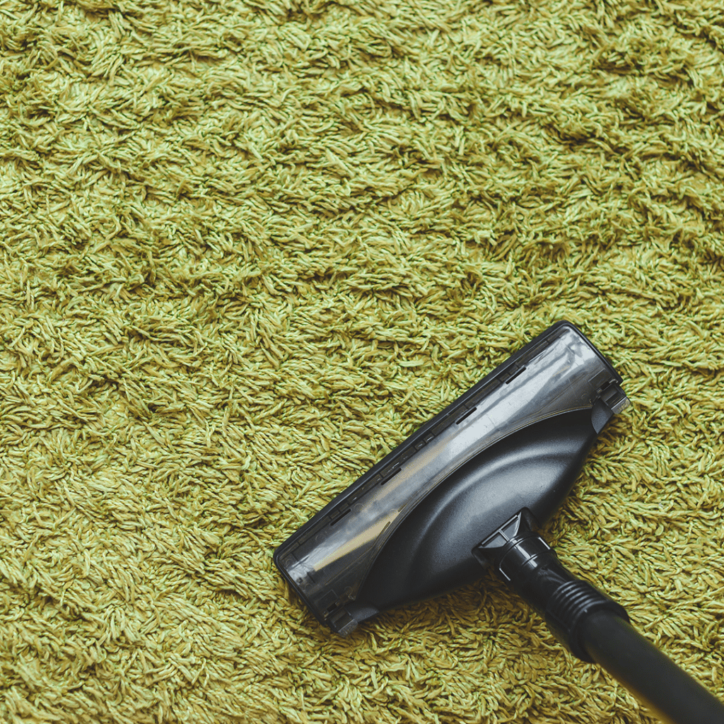 Read more about the article The benefits of Professional Carpet Cleaning