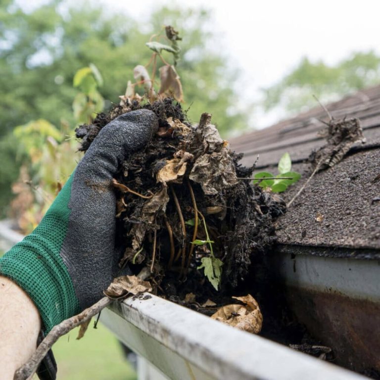 Read more about the article The Essential Guide to Gutter Cleaning