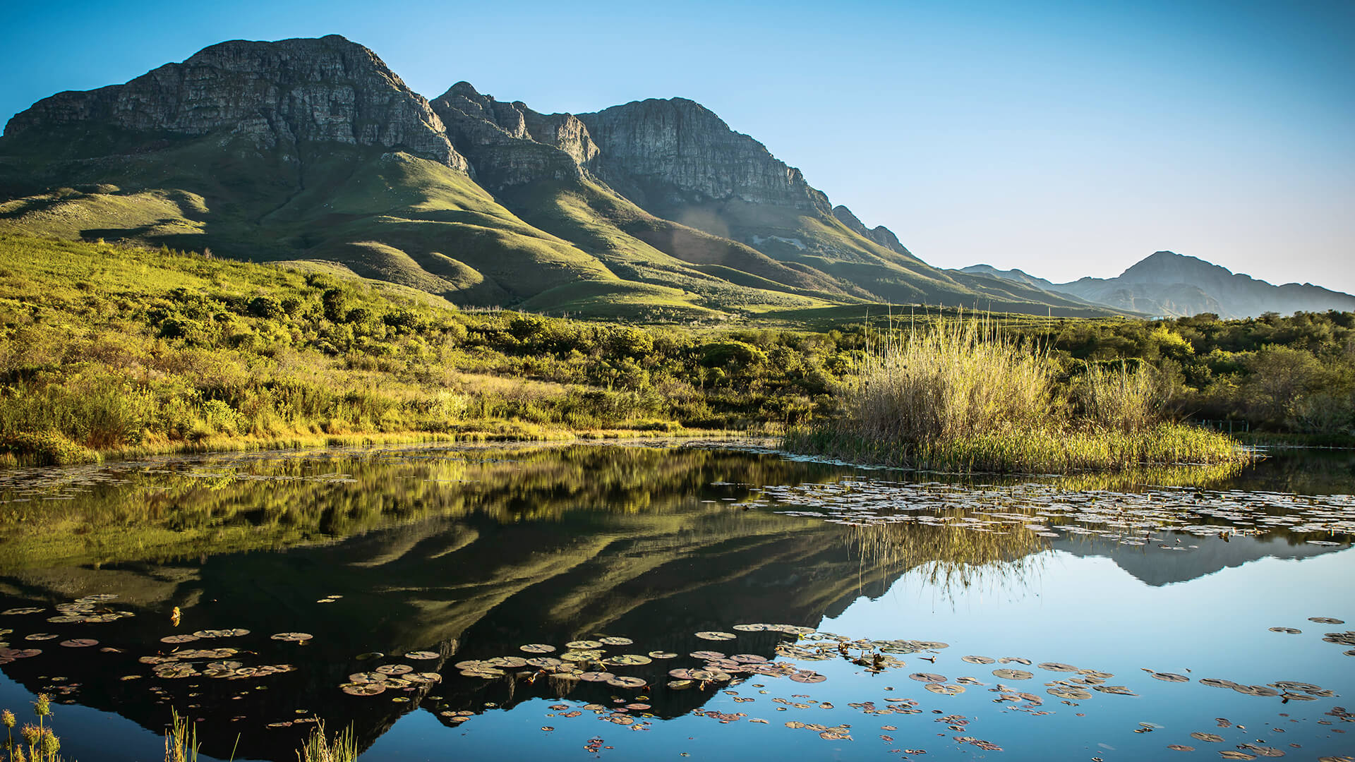 Mountain reflection in water at Helderberg Nature Reserve, Somerset West