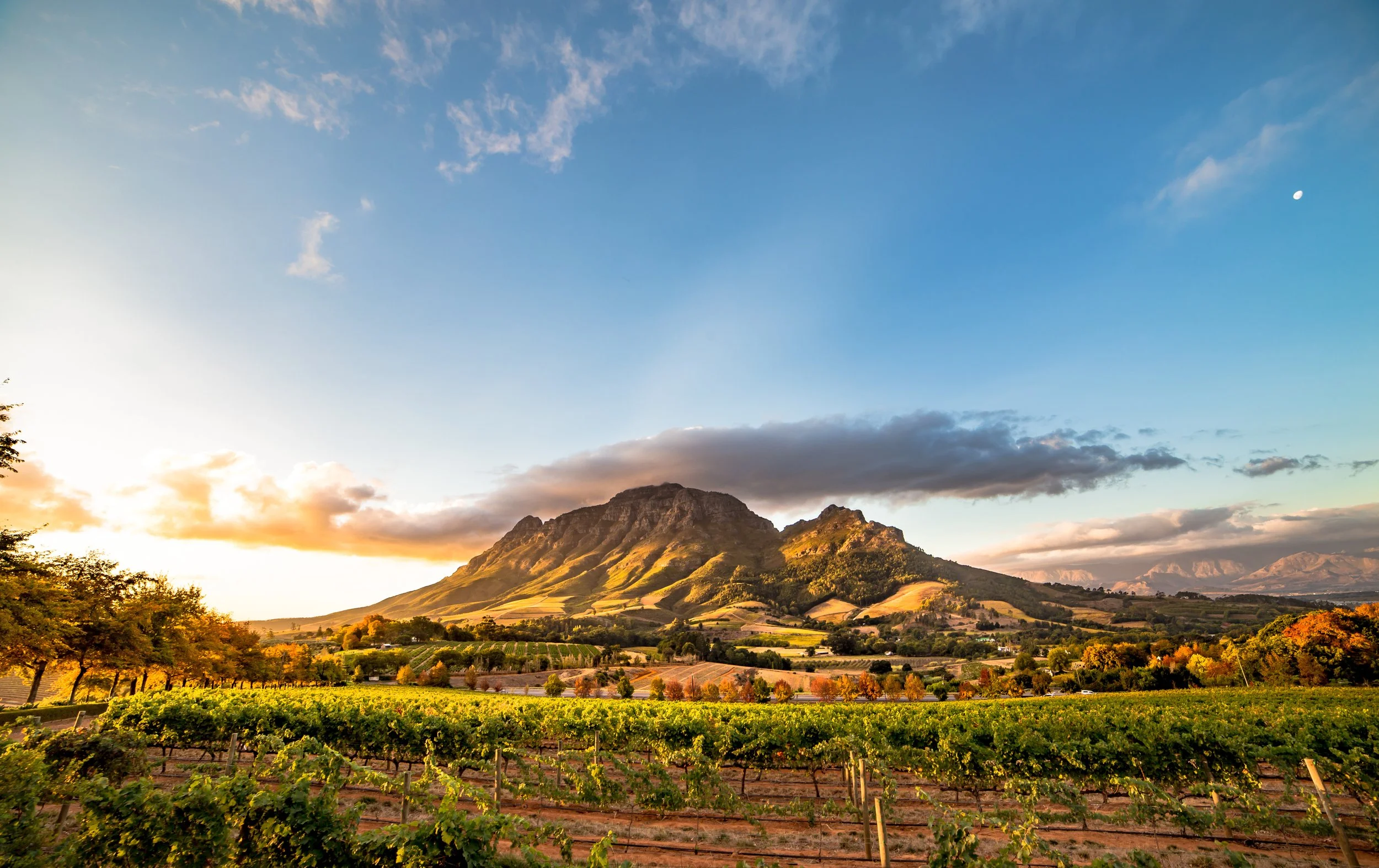 Mountain view with vineyards near Franschhoek in the Cape Winelands