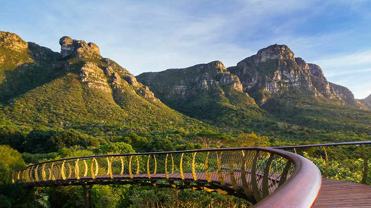 Cape Town Southern Suburbs landscape near Kirstenbosch with mountains and indigenous vegetation